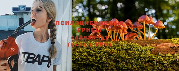 прущие крисы Алексеевка