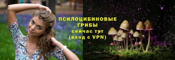 a pvp Алзамай