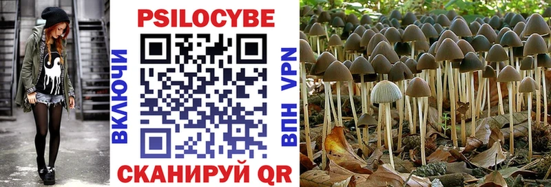 купить наркотики сайты  Шумерля  Галлюциногенные грибы Magic Shrooms 